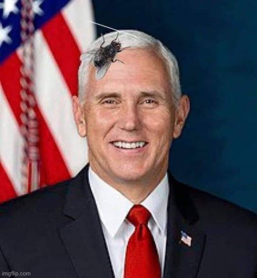 FlyPence | image tagged in flypence | made w/ Imgflip meme maker