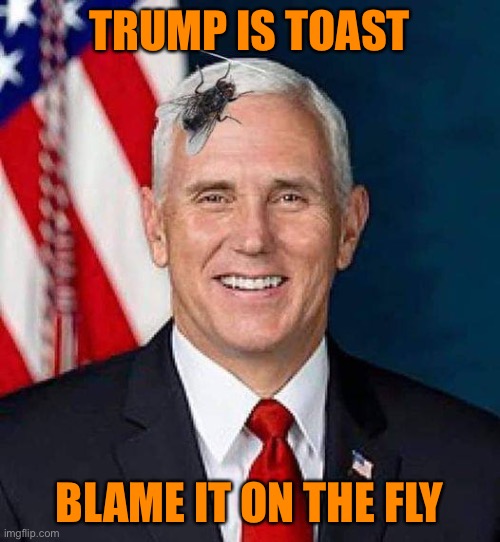 TrumpLand is closing. Time to except reality | TRUMP IS TOAST; BLAME IT ON THE FLY | image tagged in flypence,donald trump,orange,loser,election 2020,joe biden | made w/ Imgflip meme maker