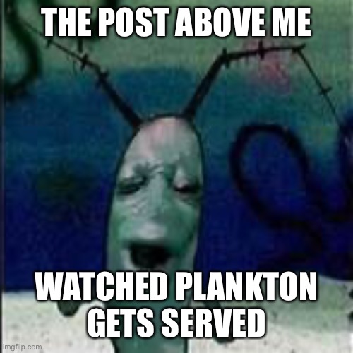 Plankton gets served | THE POST ABOVE ME; WATCHED PLANKTON GETS SERVED | image tagged in plankton gets served | made w/ Imgflip meme maker