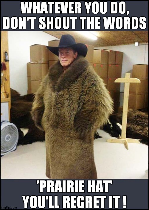 Look ... A Prairie Hat ! | WHATEVER YOU DO,
DON'T SHOUT THE WORDS; 'PRAIRIE HAT'
YOU'LL REGRET IT ! | image tagged in spoonerism,frontpage | made w/ Imgflip meme maker