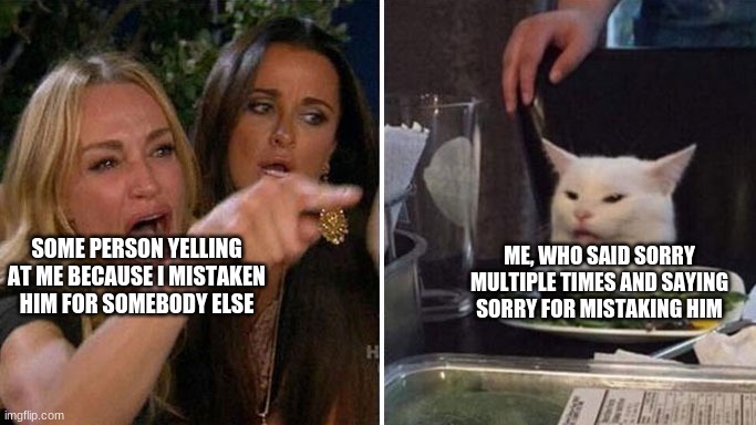 just happened | ME, WHO SAID SORRY MULTIPLE TIMES AND SAYING SORRY FOR MISTAKING HIM; SOME PERSON YELLING AT ME BECAUSE I MISTAKEN HIM FOR SOMEBODY ELSE | image tagged in angry lady cat | made w/ Imgflip meme maker