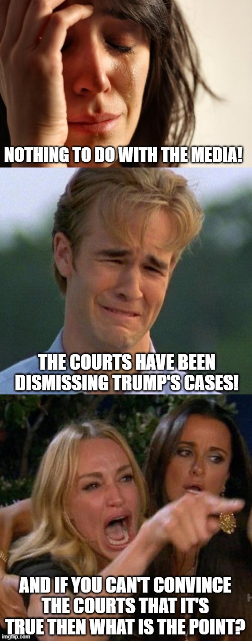 NOTHING TO DO WITH THE MEDIA! THE COURTS HAVE BEEN DISMISSING TRUMP'S CASES! AND IF YOU CAN'T CONVINCE THE COURTS THAT IT'S TRUE THEN WHAT I | image tagged in memes,first world problems,1990s first world problems,woman yelling at cat | made w/ Imgflip meme maker