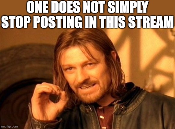 One Does Not Simply | ONE DOES NOT SIMPLY STOP POSTING IN THIS STREAM | image tagged in memes,one does not simply,i'm 15 so don't try it,who reads these | made w/ Imgflip meme maker