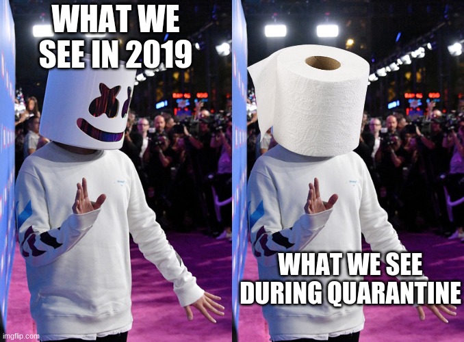 Marshmellow, lol |  WHAT WE SEE IN 2019; WHAT WE SEE DURING QUARANTINE | image tagged in marshmallow,minecraft,rickroll,covid-19,covid19,covid 19 | made w/ Imgflip meme maker