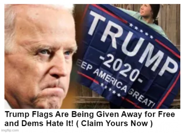 [gratuitously add "and Dems hate it!" to anything: Trumpies take their entire stock] | image tagged in trump 2020 flags,trump 2020,flags,election 2020,2020 elections | made w/ Imgflip meme maker