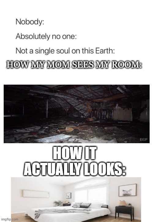 Nobody:, Absolutely no one: | HOW MY MOM SEES MY ROOM:; HOW IT ACTUALLY LOOKS: | image tagged in nobody absolutely no one | made w/ Imgflip meme maker