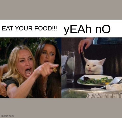 Woman Yelling At Cat Meme | EAT YOUR FOOD!!! yEAh nO | image tagged in memes,woman yelling at cat | made w/ Imgflip meme maker