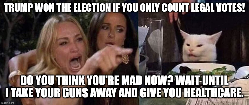Trump supporters think they're mad now, LOL! | TRUMP WON THE ELECTION IF YOU ONLY COUNT LEGAL VOTES! DO YOU THINK YOU'RE MAD NOW? WAIT UNTIL I TAKE YOUR GUNS AWAY AND GIVE YOU HEALTHCARE. | image tagged in woman yelling at cat,election 2020,voter fraud,election fraud,snowflakes | made w/ Imgflip meme maker