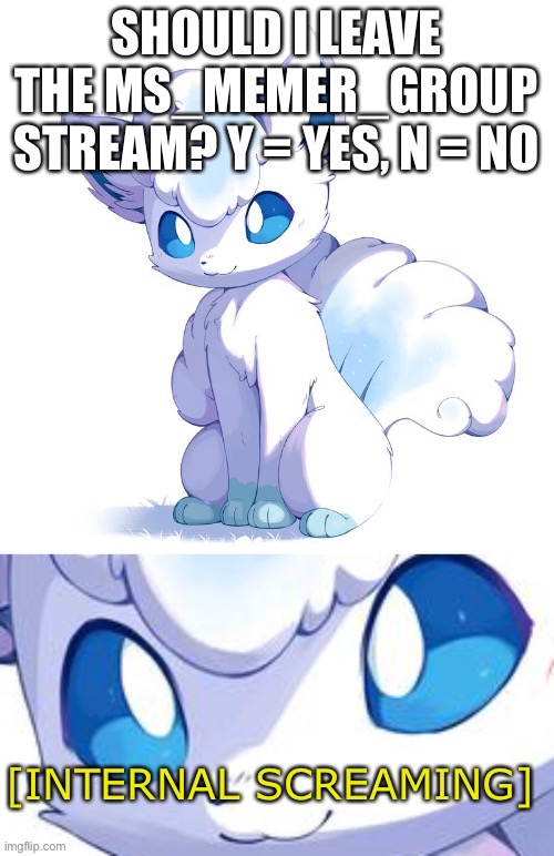 Bruh, I swear, watch someone make me owner so I can’t leave | SHOULD I LEAVE THE MS_MEMER_GROUP STREAM? Y = YES, N = NO | made w/ Imgflip meme maker