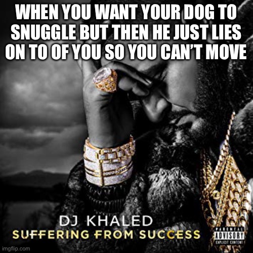 Every time | WHEN YOU WANT YOUR DOG TO SNUGGLE BUT THEN HE JUST LIES ON TO OF YOU SO YOU CAN’T MOVE | image tagged in dj khaled suffering from success meme | made w/ Imgflip meme maker