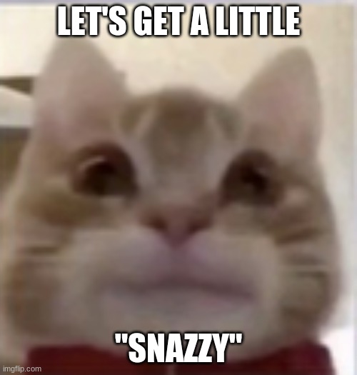 Understandable cat | LET'S GET A LITTLE; "SNAZZY" | image tagged in understandable cat | made w/ Imgflip meme maker