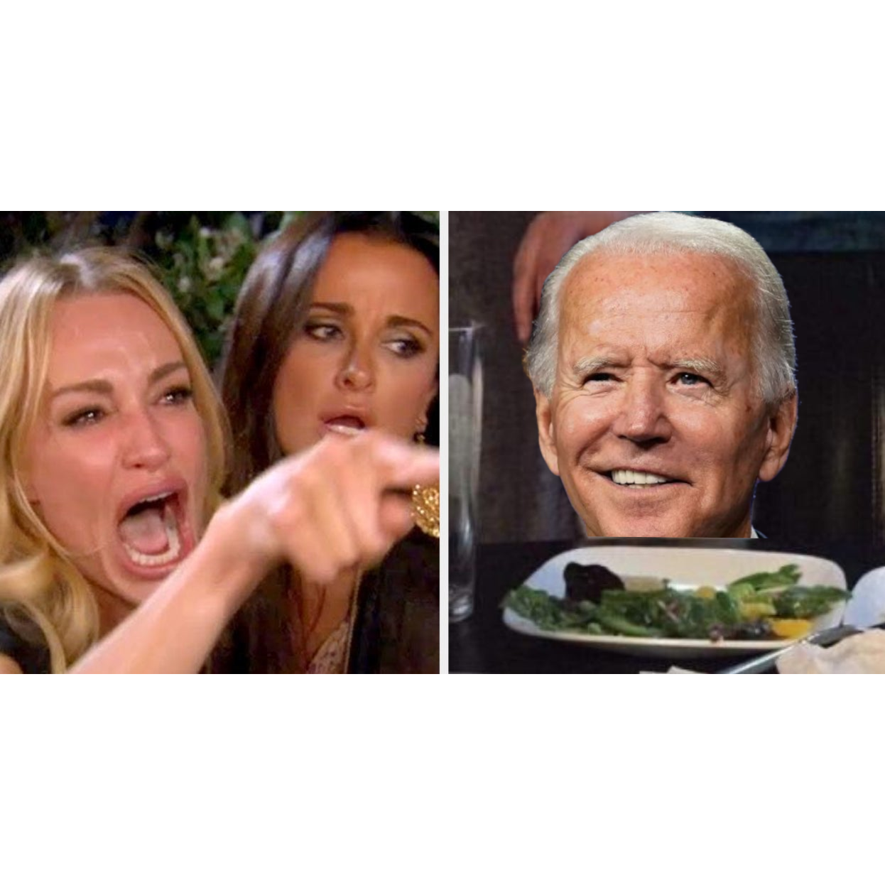 Woman Yelling at Biden Cat Blank Meme Template