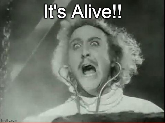 It's alive! | It's Alive!! | image tagged in young frankenstein | made w/ Imgflip meme maker