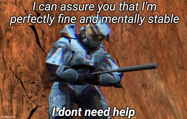 I can assure you that I'm perfectly fine and mentally stable; I dont need help | image tagged in tag | made w/ Imgflip meme maker