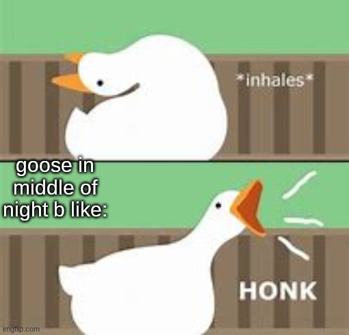 ononnononononono | goose in middle of night b like: | image tagged in ah yes enslaved,untitled goose peace was never an option,goose | made w/ Imgflip meme maker
