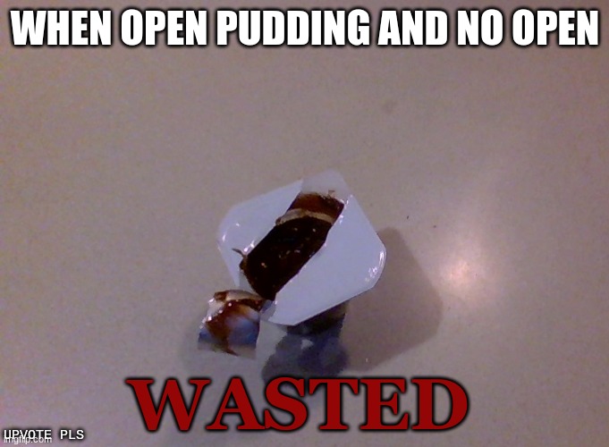 Finially, I can eats my pudding with no open | WHEN OPEN PUDDING AND NO OPEN; WASTED; UPVOTE PLS | image tagged in certified bruh moment,bruh moment,wasted,bruh,memes,dank memes | made w/ Imgflip meme maker