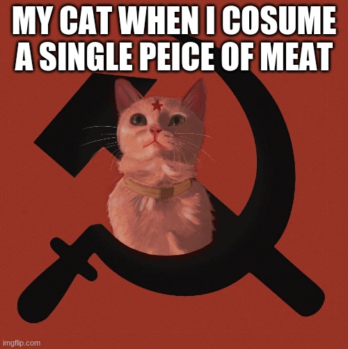 Soviet Cat | MY CAT WHEN I COSUME A SINGLE PEICE OF MEAT | image tagged in soviet cat | made w/ Imgflip meme maker