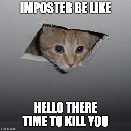 Ceiling Cat | IMPOSTER BE LIKE; HELLO THERE TIME TO KILL YOU | image tagged in memes,ceiling cat,among us vent | made w/ Imgflip meme maker