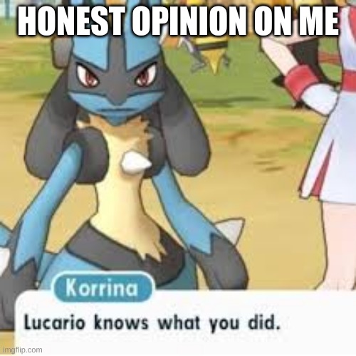 Lucario | HONEST OPINION ON ME | image tagged in lucario | made w/ Imgflip meme maker
