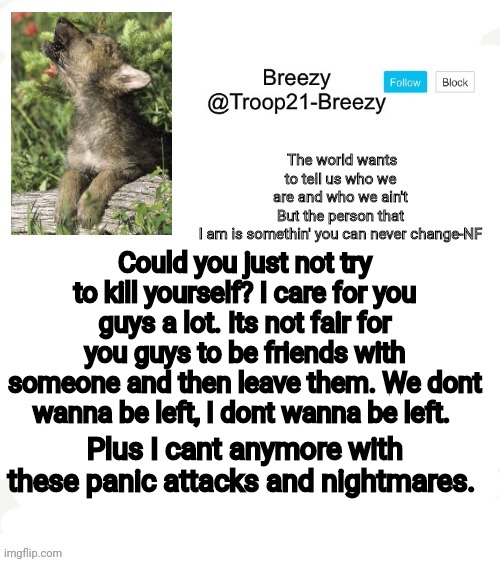 Trooper21-Breezy template | Could you just not try to kill yourself? I care for you guys a lot. Its not fair for you guys to be friends with someone and then leave them. We dont wanna be left, I dont wanna be left. Plus I cant anymore with these panic attacks and nightmares. | image tagged in trooper21-breezy template | made w/ Imgflip meme maker