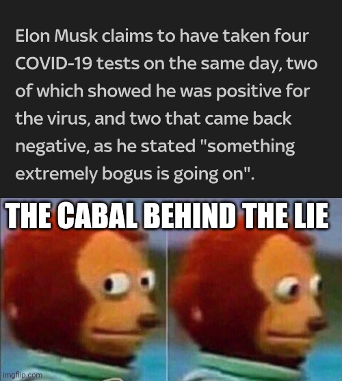 The lie is unravelling so fast that I'm actually laughing out loud :') | THE CABAL BEHIND THE LIE | image tagged in monkey looking away,covid-19,coronavirus,elon musk,plandemic | made w/ Imgflip meme maker