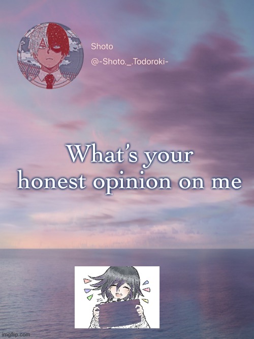 Shoto 3 | What’s your honest opinion on me | image tagged in shoto 3 | made w/ Imgflip meme maker