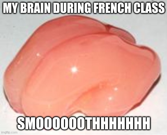 Smooth Brain | MY BRAIN DURING FRENCH CLASS; SMOOOOOOTHHHHHHH | image tagged in smooth brain | made w/ Imgflip meme maker