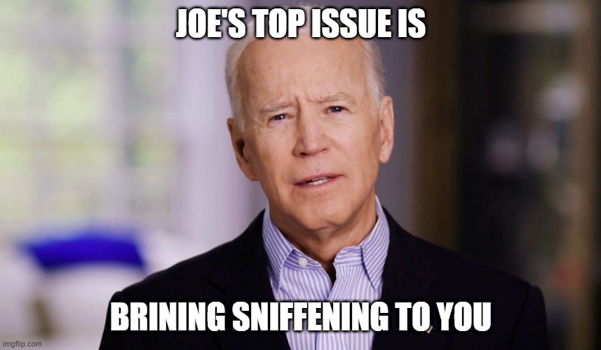 Joe Biden 2020 | JOE'S TOP ISSUE IS; BRINING SNIFFENING TO YOU | image tagged in joe biden 2020 | made w/ Imgflip meme maker