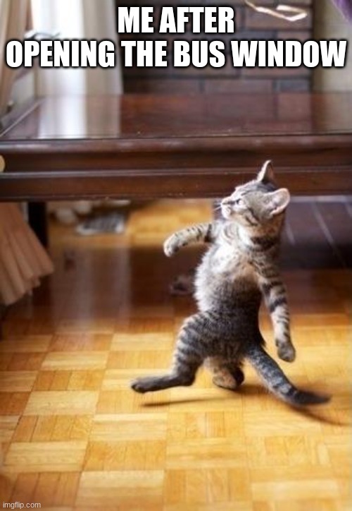 Cool Cat Stroll Meme | ME AFTER OPENING THE BUS WINDOW | image tagged in memes,cool cat stroll | made w/ Imgflip meme maker
