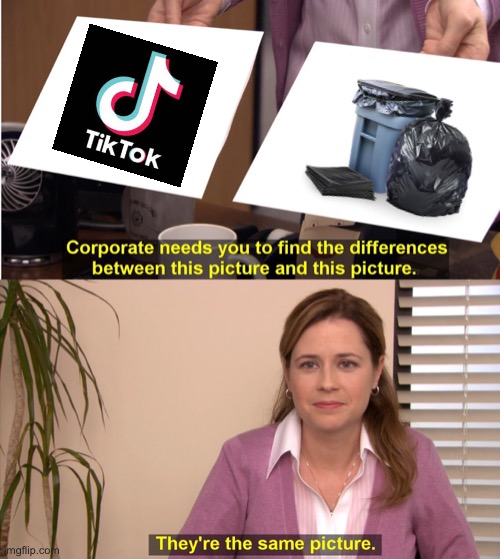 Tik Trash | image tagged in memes,they're the same picture | made w/ Imgflip meme maker