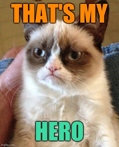 Grumpy Cat Meme | THAT'S MY HERO | image tagged in memes,grumpy cat | made w/ Imgflip meme maker