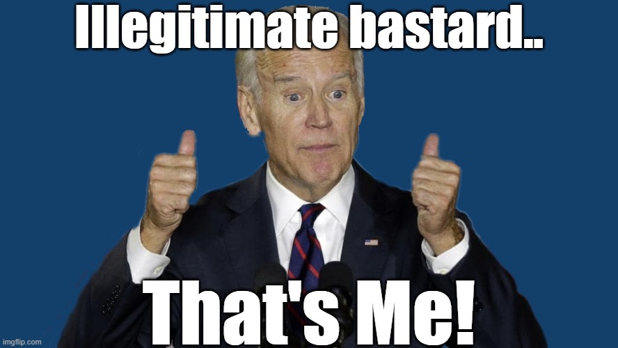 Still your illegitimate Bastard! | Illegitimate bastard.. That's Me! | image tagged in illegitimate bastard biden,pedo joe,pedobear | made w/ Imgflip meme maker