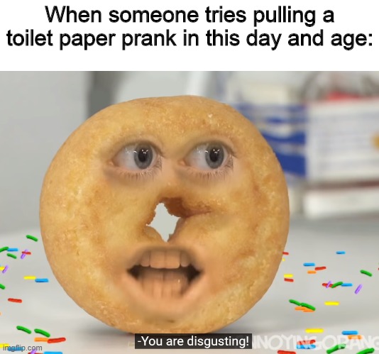 Remember those foolish days when we didn't know the value of anything? | When someone tries pulling a toilet paper prank in this day and age: | image tagged in shane dawson angry donut,memes,lockdown,toilet paper | made w/ Imgflip meme maker