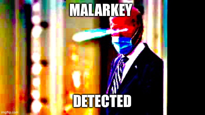 Biden malarkey detected | MALARKEY; DETECTED | image tagged in memes | made w/ Imgflip meme maker