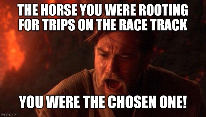 You Were The Chosen One (Star Wars) | THE HORSE YOU WERE ROOTING FOR TRIPS ON THE RACE TRACK; YOU WERE THE CHOSEN ONE! | image tagged in memes,you were the chosen one star wars | made w/ Imgflip meme maker