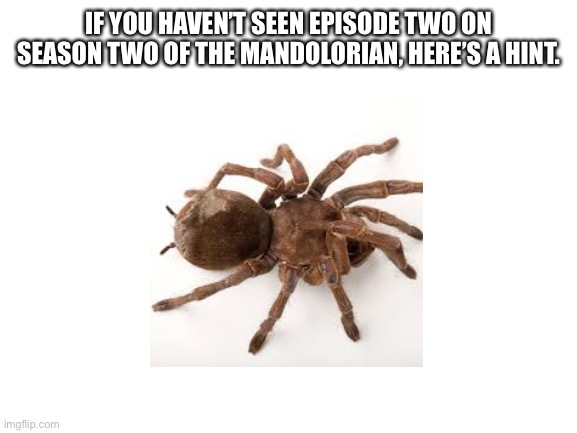 Friendly hint | IF YOU HAVEN’T SEEN EPISODE TWO ON SEASON TWO OF THE MANDOLORIAN, HERE’S A HINT. | image tagged in blank white template | made w/ Imgflip meme maker