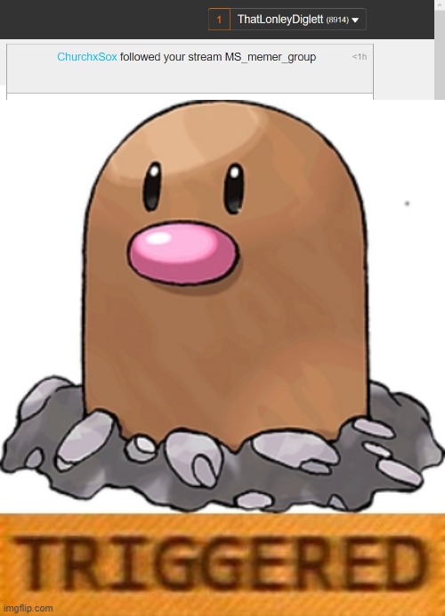 image tagged in triggered diglett | made w/ Imgflip meme maker