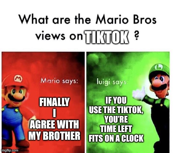 Luigi hates TikTok. | TIKTOK; FINALLY I AGREE WITH MY BROTHER; IF YOU USE THE TIKTOK, YOU’RE TIME LEFT FITS ON A CLOCK | image tagged in mario bros views,tiktok | made w/ Imgflip meme maker