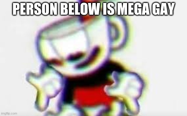 E | PERSON BELOW IS MEGA GAY | image tagged in the person below is | made w/ Imgflip meme maker
