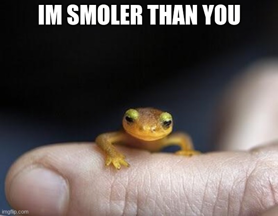 IM SMOLER THAN YOU | made w/ Imgflip meme maker