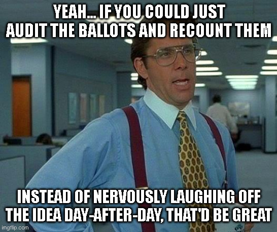 That Would Be Great | YEAH... IF YOU COULD JUST AUDIT THE BALLOTS AND RECOUNT THEM; INSTEAD OF NERVOUSLY LAUGHING OFF THE IDEA DAY-AFTER-DAY, THAT'D BE GREAT | image tagged in memes,that would be great | made w/ Imgflip meme maker