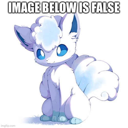 IMAGE BELOW IS FALSE | made w/ Imgflip meme maker