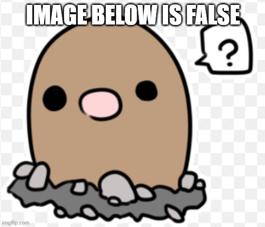 confused diglett | IMAGE BELOW IS FALSE | image tagged in confused diglett | made w/ Imgflip meme maker