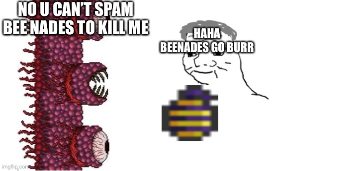 Terraia memes 5 | NO U CAN’T SPAM BEE NADES TO KILL ME; HAHA BEENADES GO BURR | image tagged in nooo haha go brrr | made w/ Imgflip meme maker