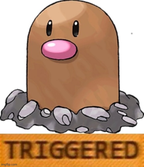 triggered diglett | image tagged in triggered diglett | made w/ Imgflip meme maker