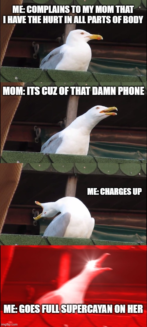 SUPERCAYAN | ME: COMPLAINS TO MY MOM THAT I HAVE THE HURT IN ALL PARTS OF BODY; MOM: ITS CUZ OF THAT DAMN PHONE; ME: CHARGES UP; ME: GOES FULL SUPERCAYAN ON HER | image tagged in memes,inhaling seagull | made w/ Imgflip meme maker