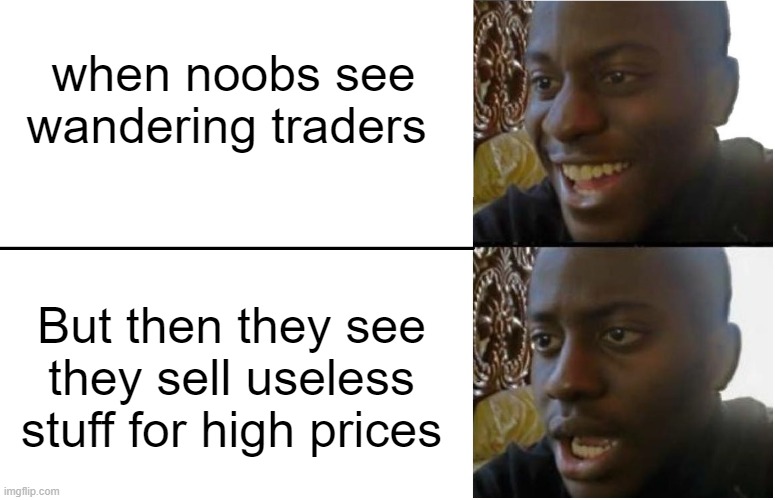 nope | when noobs see wandering traders; But then they see they sell useless stuff for high prices | image tagged in disappointed black guy | made w/ Imgflip meme maker