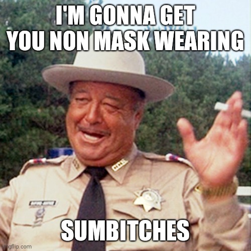 buford t justice | I'M GONNA GET YOU NON MASK WEARING; SUMBITCHES | image tagged in buford t justice | made w/ Imgflip meme maker