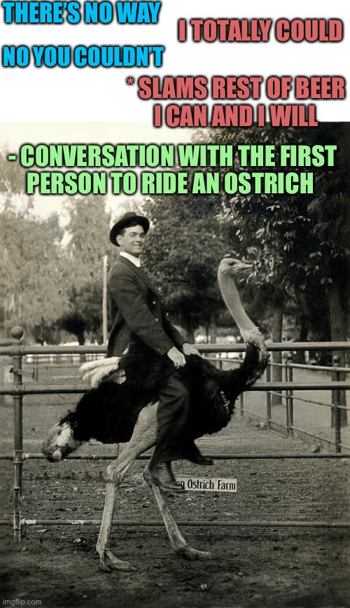 There’s no way you can ride that huge bird.... Hold my beer | THERE’S NO WAY; I TOTALLY COULD; NO YOU COULDN’T; * SLAMS REST OF BEER
I CAN AND I WILL; - CONVERSATION WITH THE FIRST
PERSON TO RIDE AN OSTRICH | image tagged in ostrich ride,first,drinking,dare,argument,memes | made w/ Imgflip meme maker