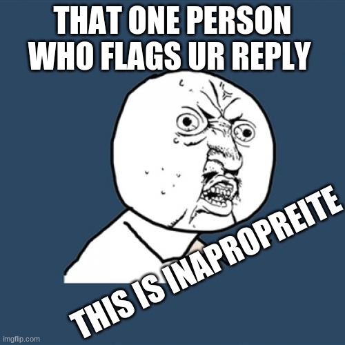 Y U No | THAT ONE PERSON WHO FLAGS UR REPLY; THIS IS INAPROPREITE | image tagged in memes,y u no | made w/ Imgflip meme maker